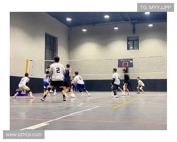 排球盛宴：深入分析成都排球队的战术布局与训练秘诀